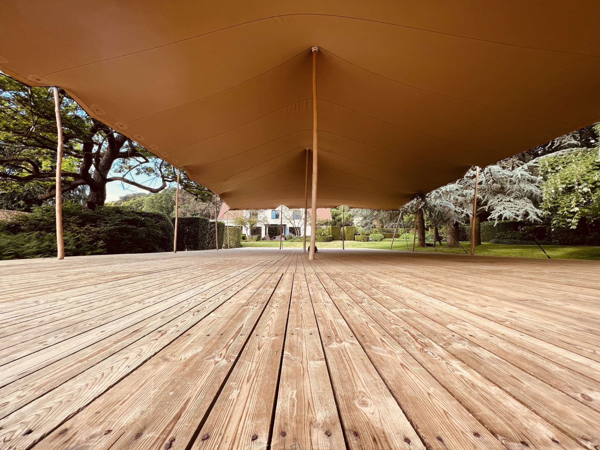 Palos de Madera para Stretch Tent